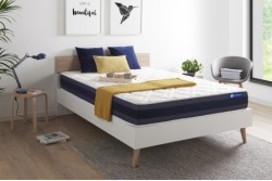 actilatex_morpho_a-4b218e19744df102d32592fe66fe98f8