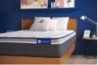 actiflex_plus_d-22ba207f383215d3ed2987fabcfaf15a