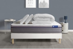 actiflex_zen_c_pack-8adf3f0c35fc2a2bdc0a6bedb7e19b8e